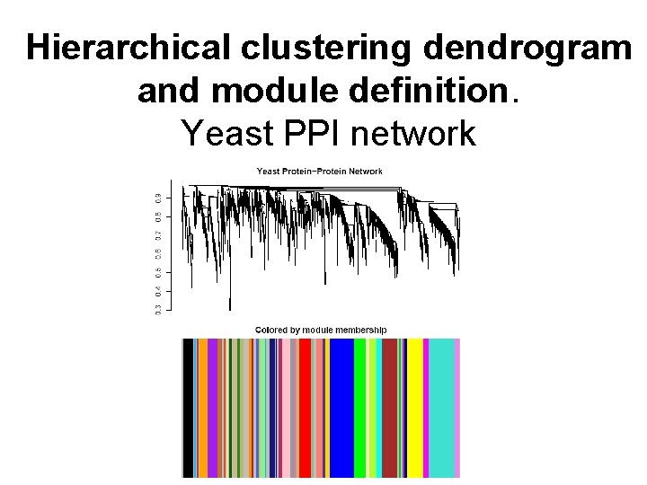 Hierarchical clustering dendrogram and module definition. Yeast PPI network 