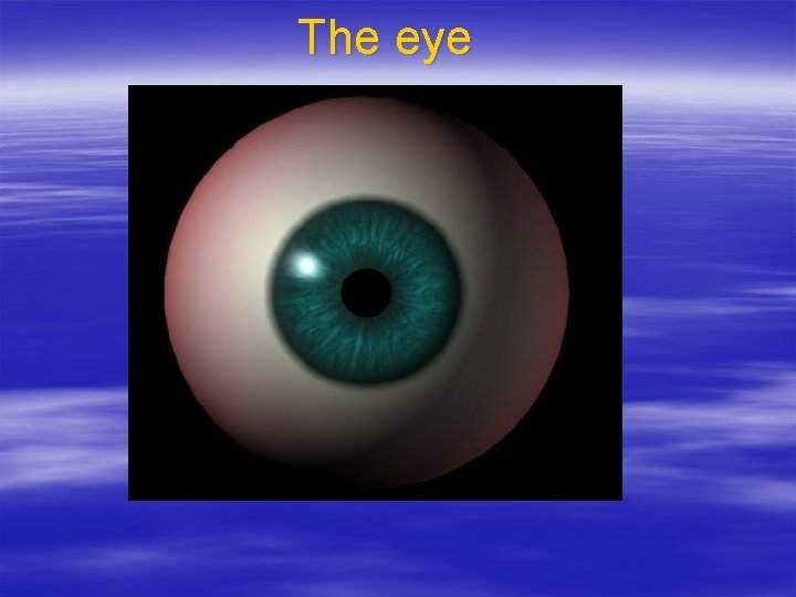 The eye 