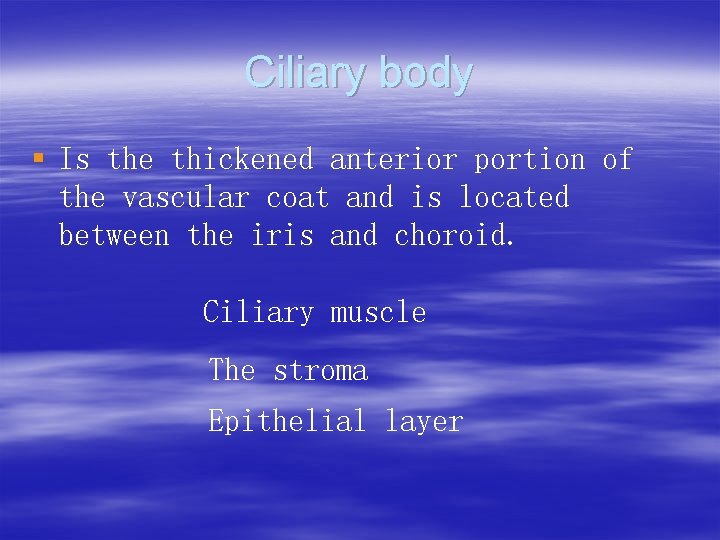 Ciliary body § Is the thickened anterior portion of the vascular coat and is