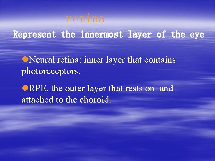 retina Represent the innermost layer of the eye l. Neural retina: inner layer that