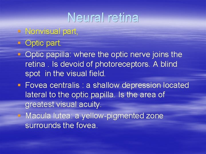 Neural retina § § § Nonvisual part, Optic part. Optic papilla: where the optic