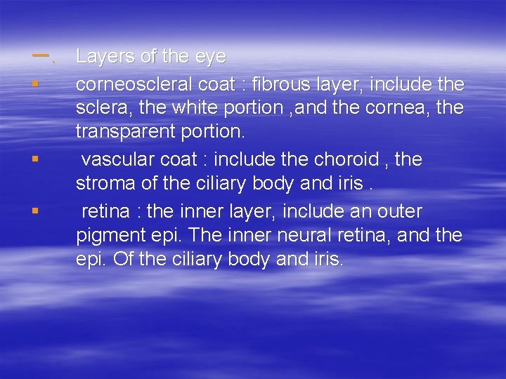 一. Layers of the eye § corneoscleral coat : fibrous layer, include the sclera,