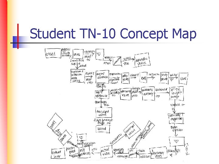 Student TN-10 Concept Map 