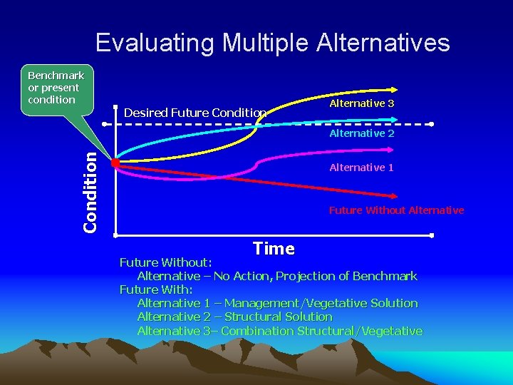 Evaluating Multiple Alternatives Benchmark or present condition Desired Future Condition Alternative 3 Condition Alternative