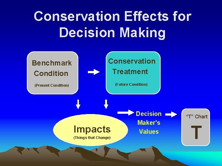 Conservation Effects for Decision Making Benchmark Condition Conservation Treatment (Present Condition) (Future Condition) Impacts