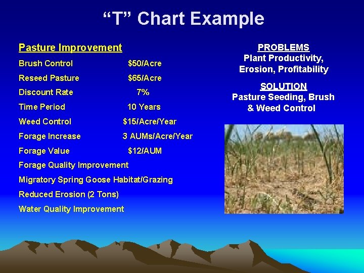 “T” Chart Example Pasture Improvement Brush Control $50/Acre Reseed Pasture $65/Acre Discount Rate 7%