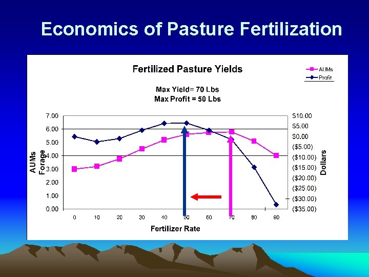 Economics of Pasture Fertilization 