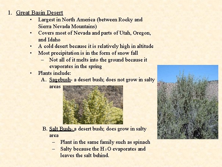 1. Great Basin Desert • • • Largest in North America (between Rocky and