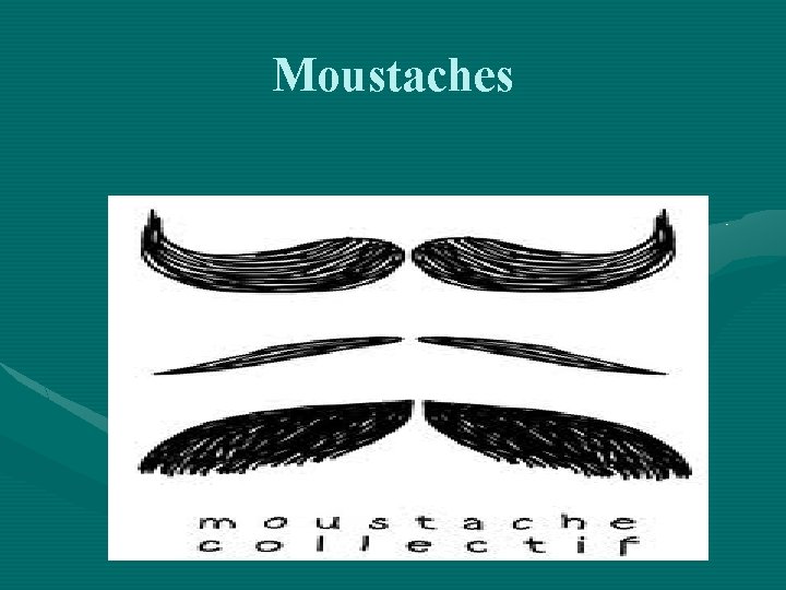 Moustaches 