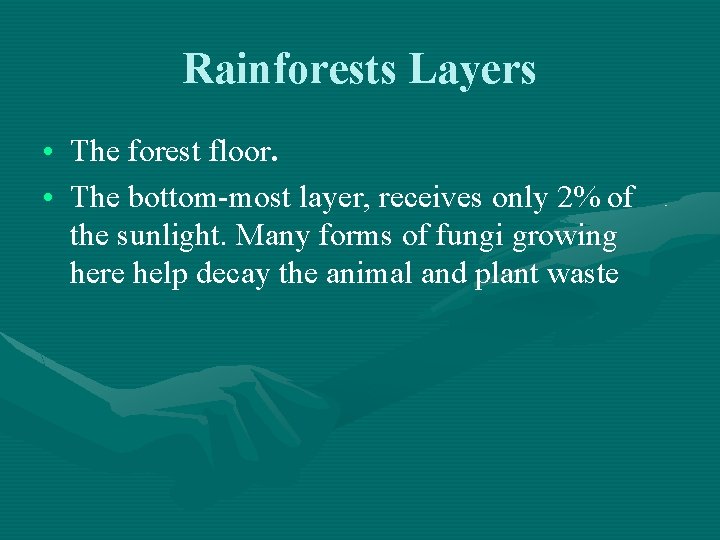 Rainforests Layers • The forest floor. • The bottom-most layer, receives only 2% of