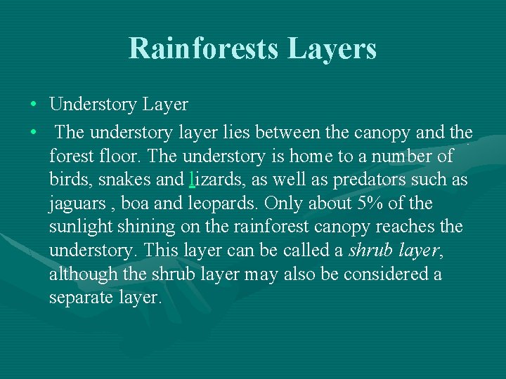 Rainforests Layers • Understory Layer • The understory layer lies between the canopy and