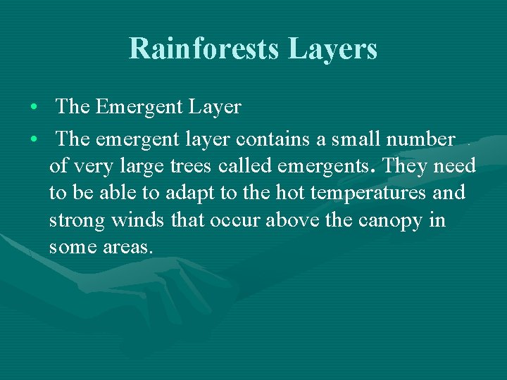 Rainforests Layers • The Emergent Layer • The emergent layer contains a small number