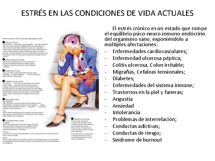 ESTRÉS EN LAS CONDICIONES DE VIDA ACTUALES El estrés crónico es un estado que