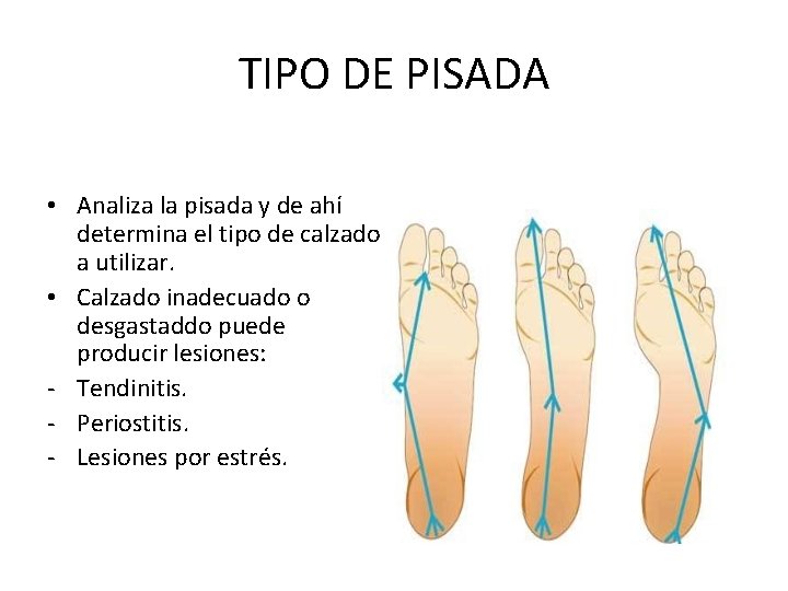 TIPO DE PISADA • Analiza la pisada y de ahí determina el tipo de