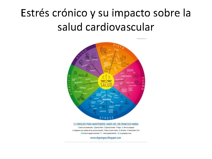 Estrés crónico y su impacto sobre la salud cardiovascular 