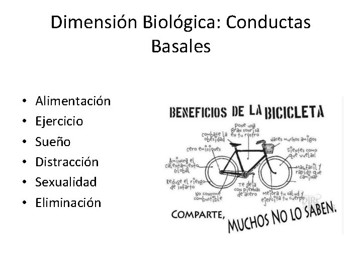 Dimensión Biológica: Conductas Basales • • • Alimentación Ejercicio Sueño Distracción Sexualidad Eliminación 