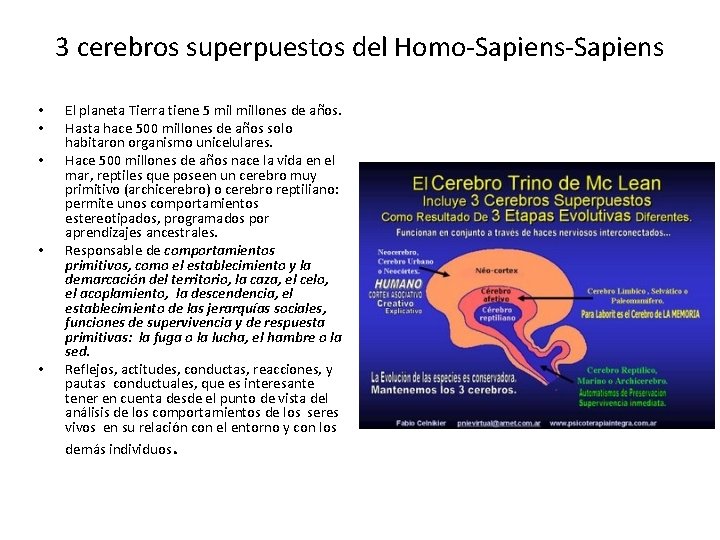 3 cerebros superpuestos del Homo-Sapiens • • • El planeta Tierra tiene 5 millones