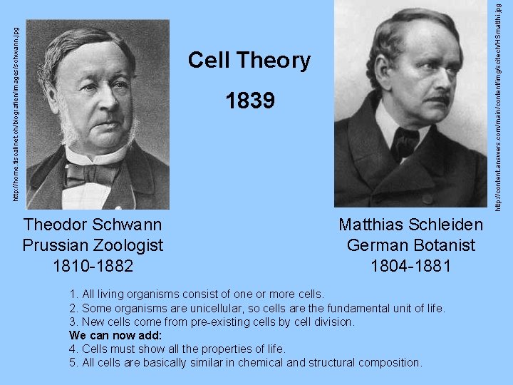 http: //content. answers. com/main/content/img/scitech/HSmatthi. jpg http: //home. tiscalinet. ch/biografien/images/schwann. jpg Cell Theory 1839 Theodor