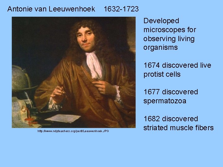 Antonie van Leeuwenhoek 1632 -1723 Developed microscopes for observing living organisms 1674 discovered live