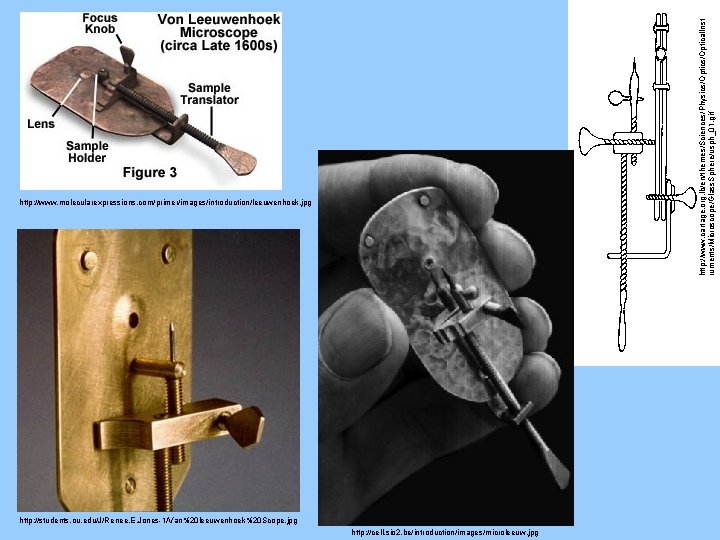 http: //www. cartage. org. lb/en/themes/Sciences/Physics/Optical. Inst ruments/Microscope/Glass. Sphere/usph_01. gif http: //www. molecularexpressions. com/primer/images/introduction/leeuwenhoek. jpg