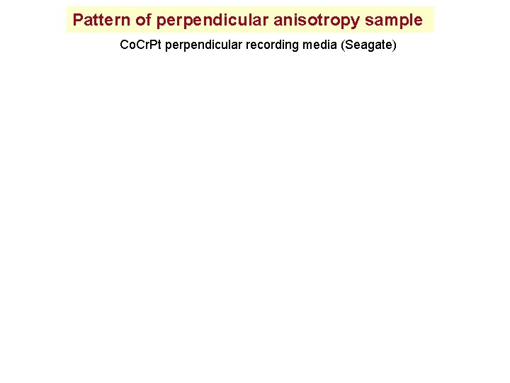 Pattern of perpendicular anisotropy sample Co. Cr. Pt perpendicular recording media (Seagate) 