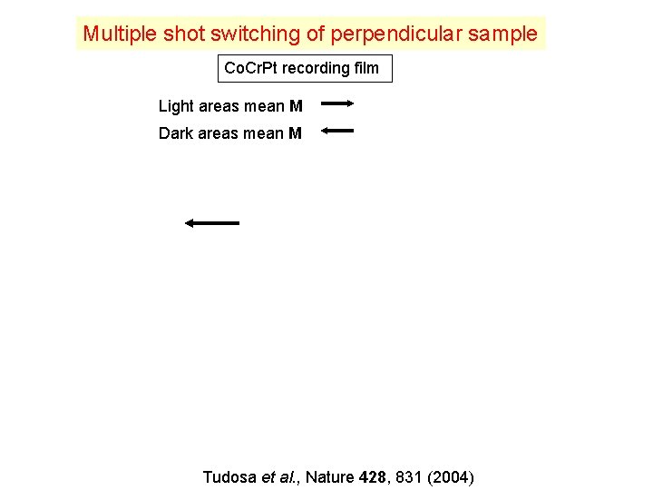 Multiple shot switching of perpendicular sample Co. Cr. Pt recording film Light areas mean