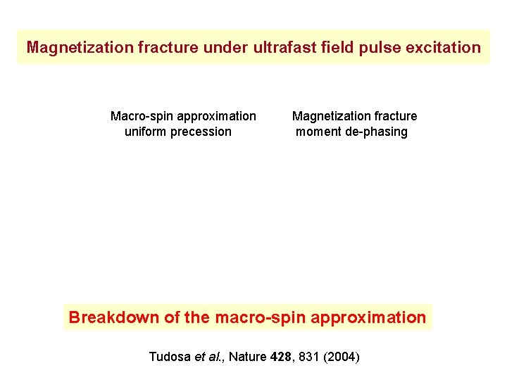 Magnetization fracture under ultrafast field pulse excitation Macro-spin approximation uniform precession Magnetization fracture moment