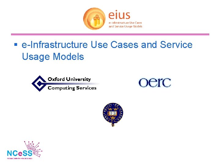  e-Infrastructure Use Cases and Service Usage Models 