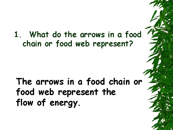 1. What do the arrows in a food chain or food web represent? The
