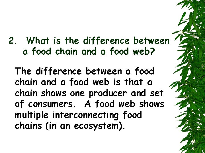 2. What is the difference between a food chain and a food web? The