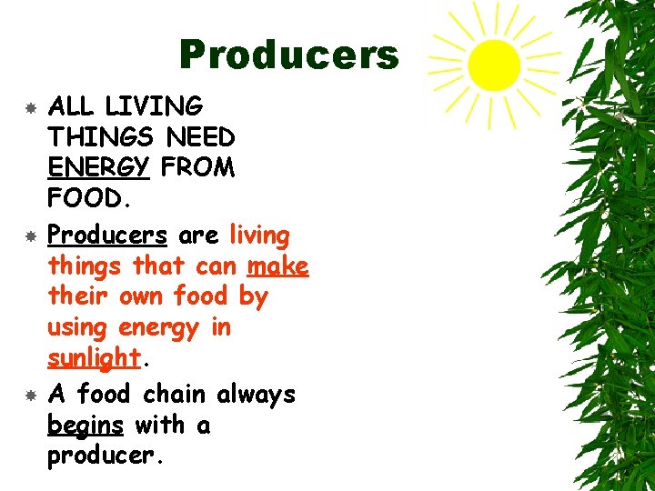 Producers ALL LIVING THINGS NEED ENERGY FROM FOOD. Producers are living things that can