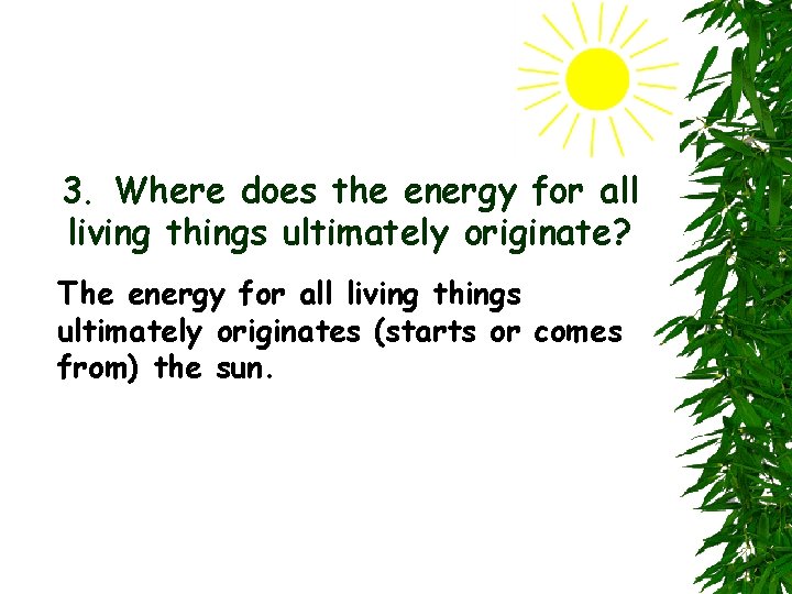 3. Where does the energy for all living things ultimately originate? The energy for