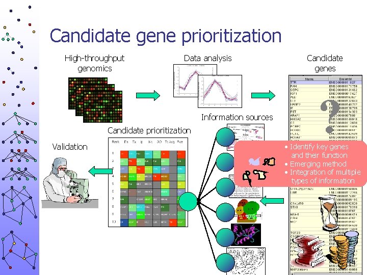 Candidate gene prioritization High-throughput genomics Data analysis Information sources Candidate prioritization Validation Candidate genes