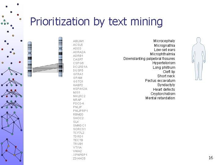 Prioritization by text mining ABLIM 1 ACSL 5 ADD 3 ADRA 2 A ADRB