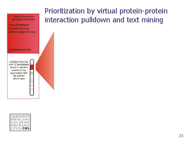 Prioritization by virtual protein-protein interaction pulldown and text mining 23 