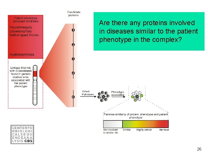 Are there any proteins involved in diseases similar to the patient phenotype in the