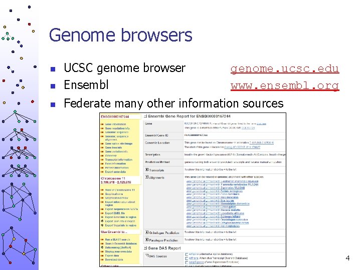 Genome browsers n UCSC genome browser Ensembl n Federate many other information sources n