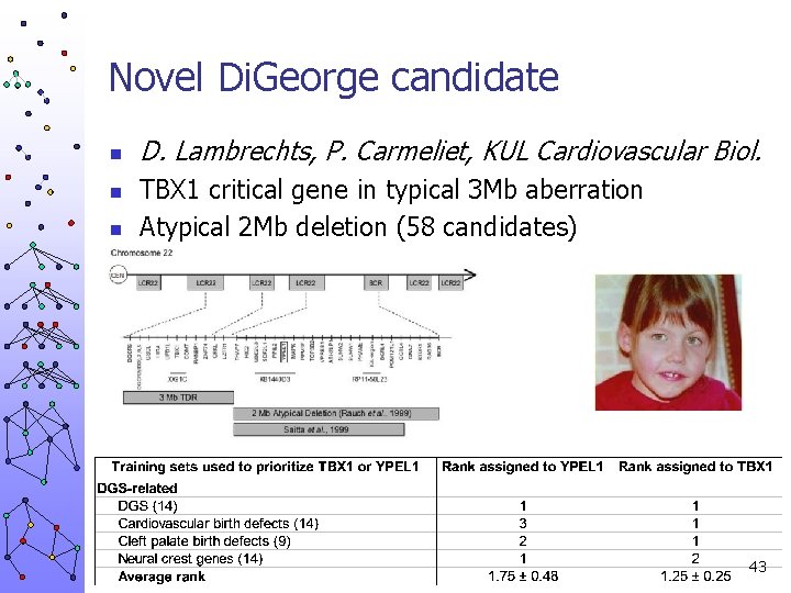 Novel Di. George candidate n n n D. Lambrechts, P. Carmeliet, KUL Cardiovascular Biol.