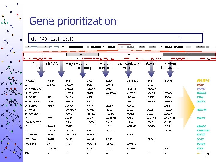 Gene prioritization del(14)(q 22. 1 q 23. 1) ? Expression KEGG pathways Pubmed textmining