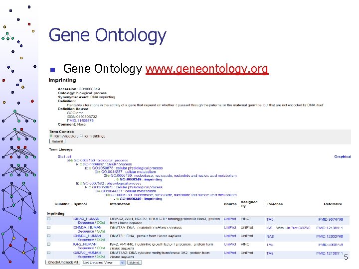 Gene Ontology n Gene Ontology www. geneontology. org 5 