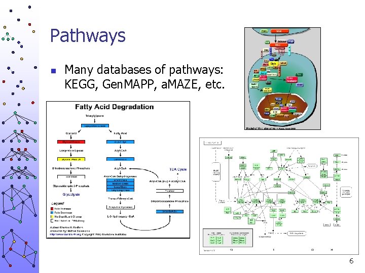 Pathways n Many databases of pathways: KEGG, Gen. MAPP, a. MAZE, etc. 6 