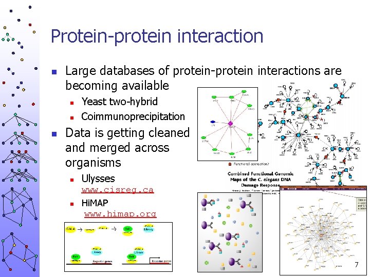 Protein-protein interaction n Large databases of protein-protein interactions are becoming available n n n