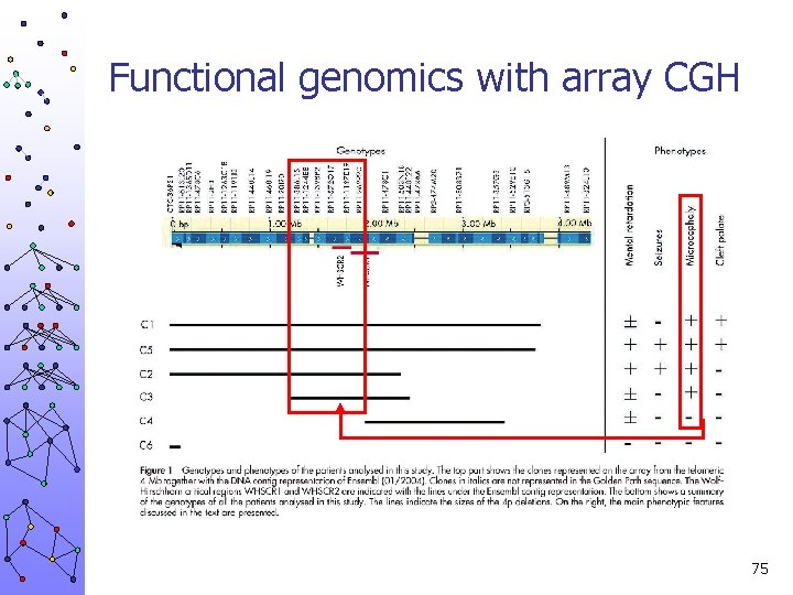 Functional genomics with array CGH 75 