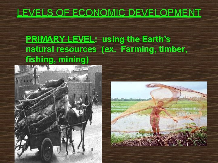 LEVELS OF ECONOMIC DEVELOPMENT PRIMARY LEVEL: using the Earth’s natural resources (ex. Farming, timber,