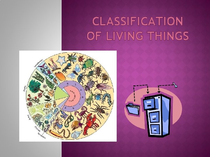 CLASSIFICATION OF LIVING THINGS 