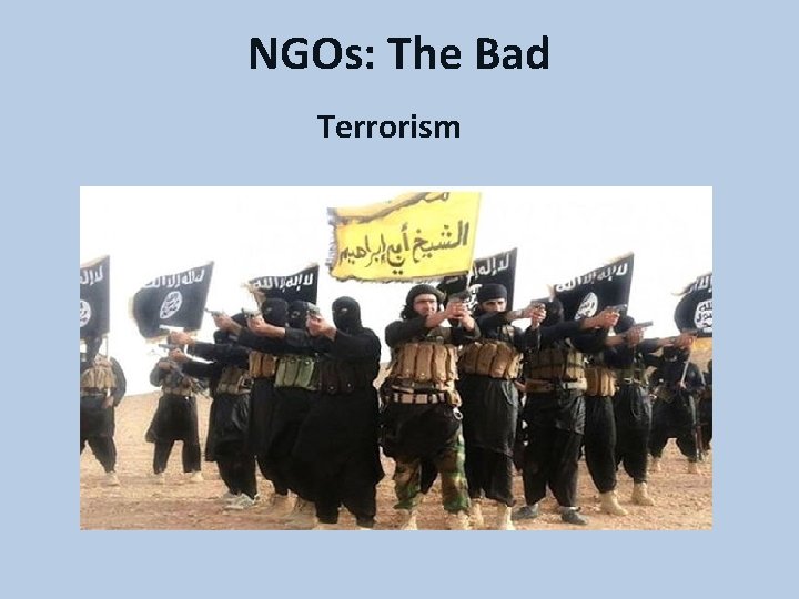 NGOs: The Bad Terrorism 