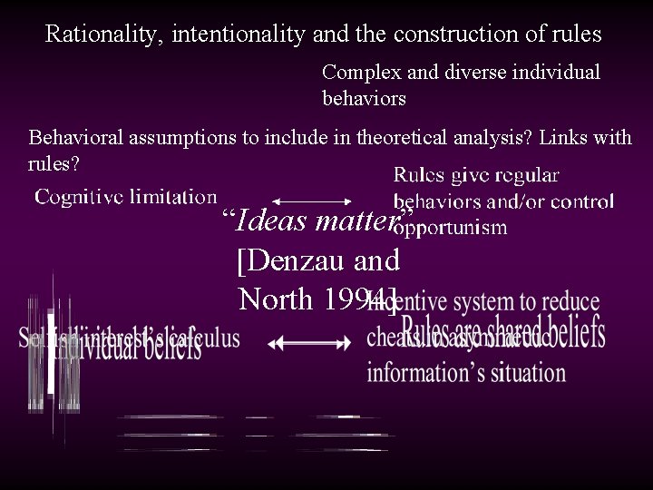 Rationality, intentionality and the construction of rules Complex and diverse individual behaviors Behavioral assumptions