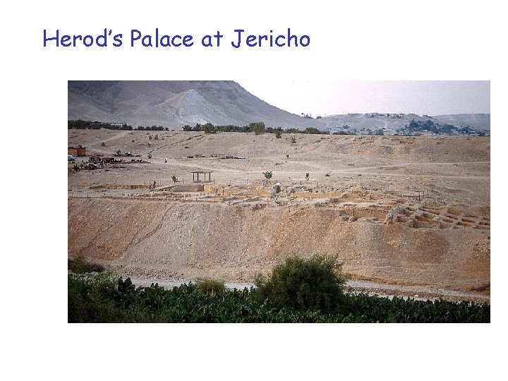 Herod’s Palace at Jericho 
