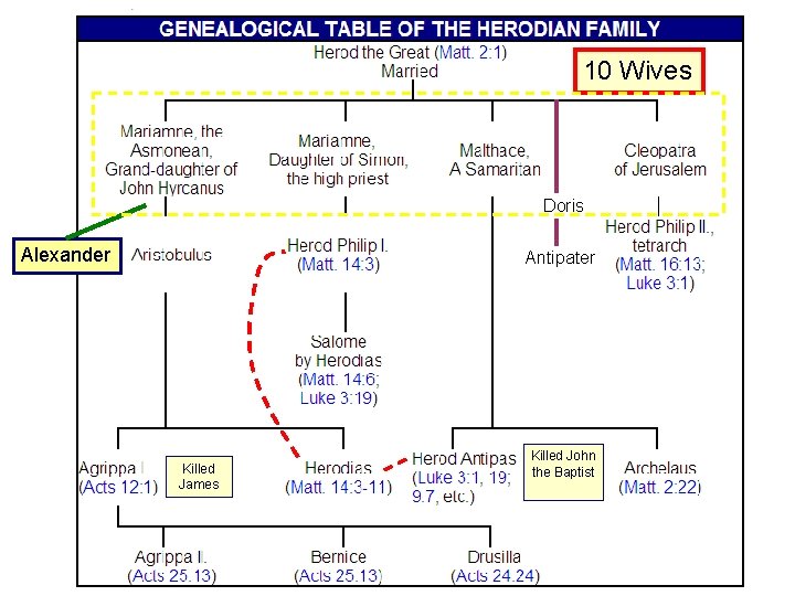 10 Wives Doris Alexander Antipater Killed James Killed John the Baptist 