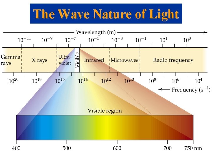 The Wave Nature of Light 